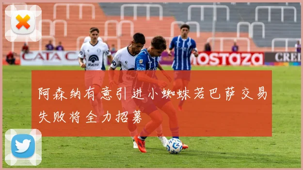 阿森纳有意引进小蜘蛛若巴萨交易失败将全力招募