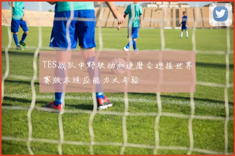 TES战队中野联动加速磨合迎接世界赛版本适应能力大考验