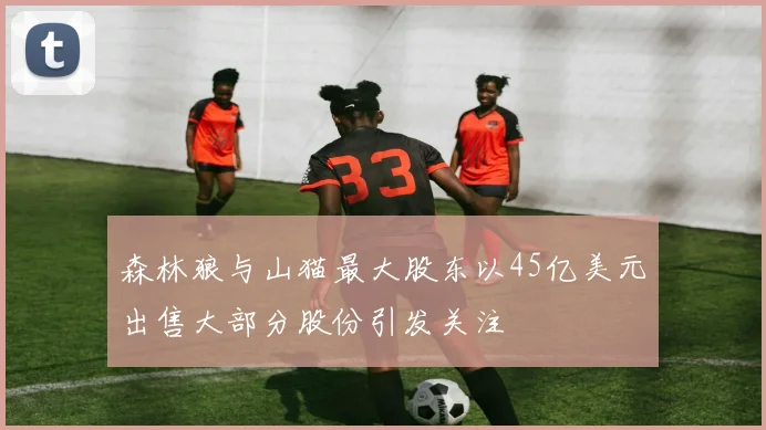 森林狼与山猫最大股东以45亿美元出售大部分股份引发关注