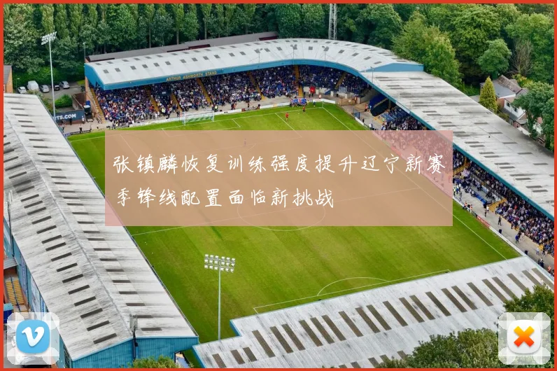 张镇麟恢复训练强度提升辽宁新赛季锋线配置面临新挑战