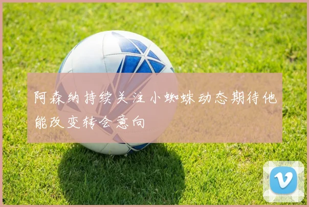阿森纳持续关注小蜘蛛动态期待他能改变转会意向