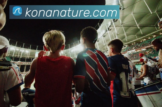万博app平台手机官网APP 封面图